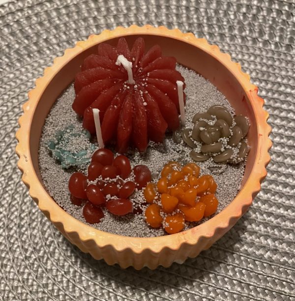 Sukkulenten Kakteen kleine Schale - Image 3